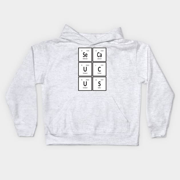 Town of Secaucus | Periodic Table of Elements Kids Hoodie by Maozva-DSGN